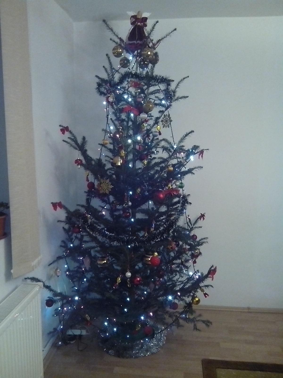 in asteptarea mosului - img201312212018321305702086.jpg